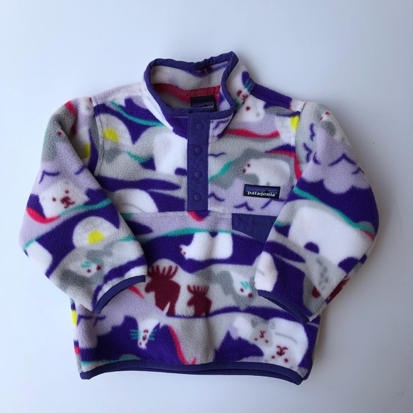 polar patagonia synchilla